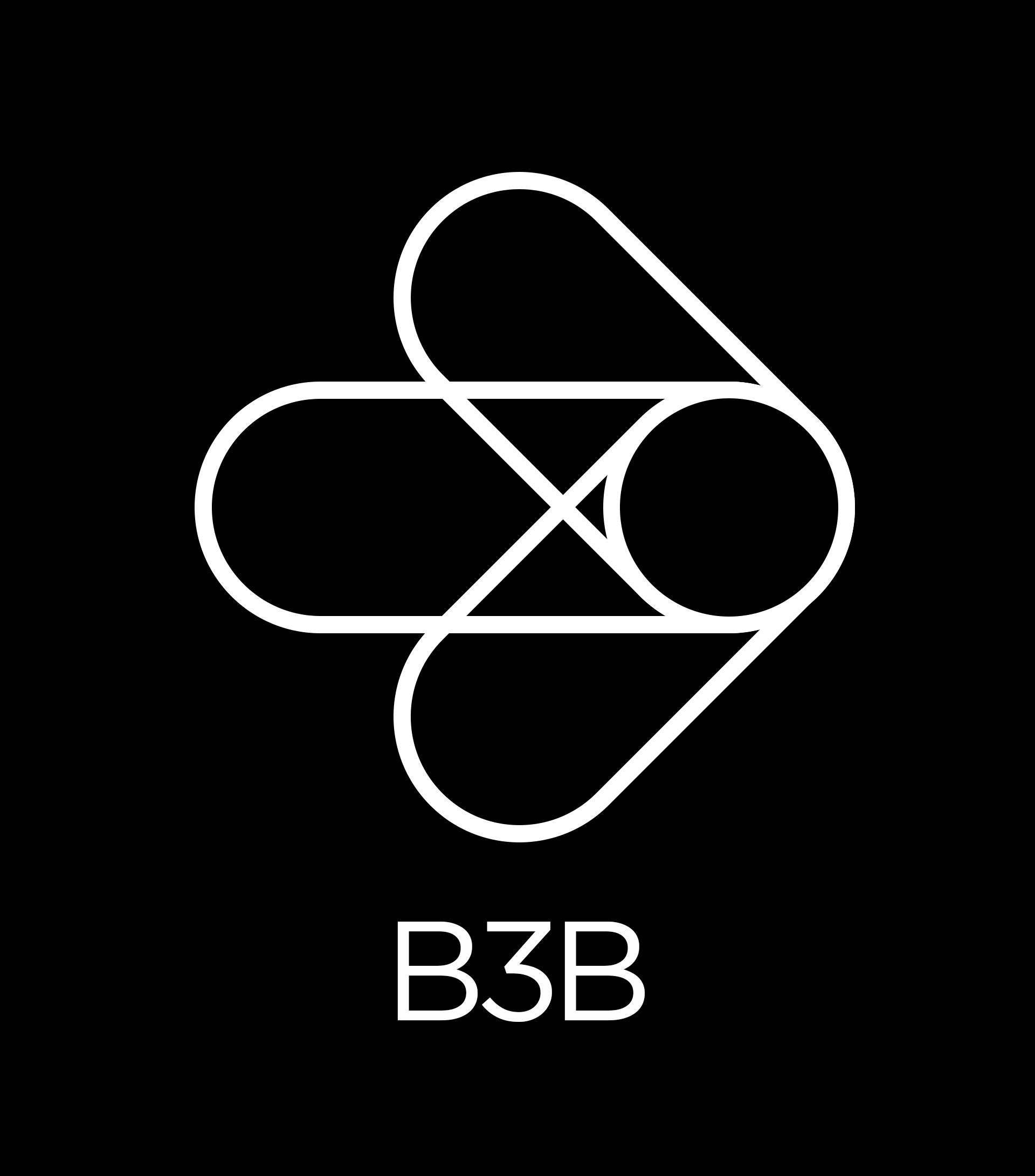 B3B